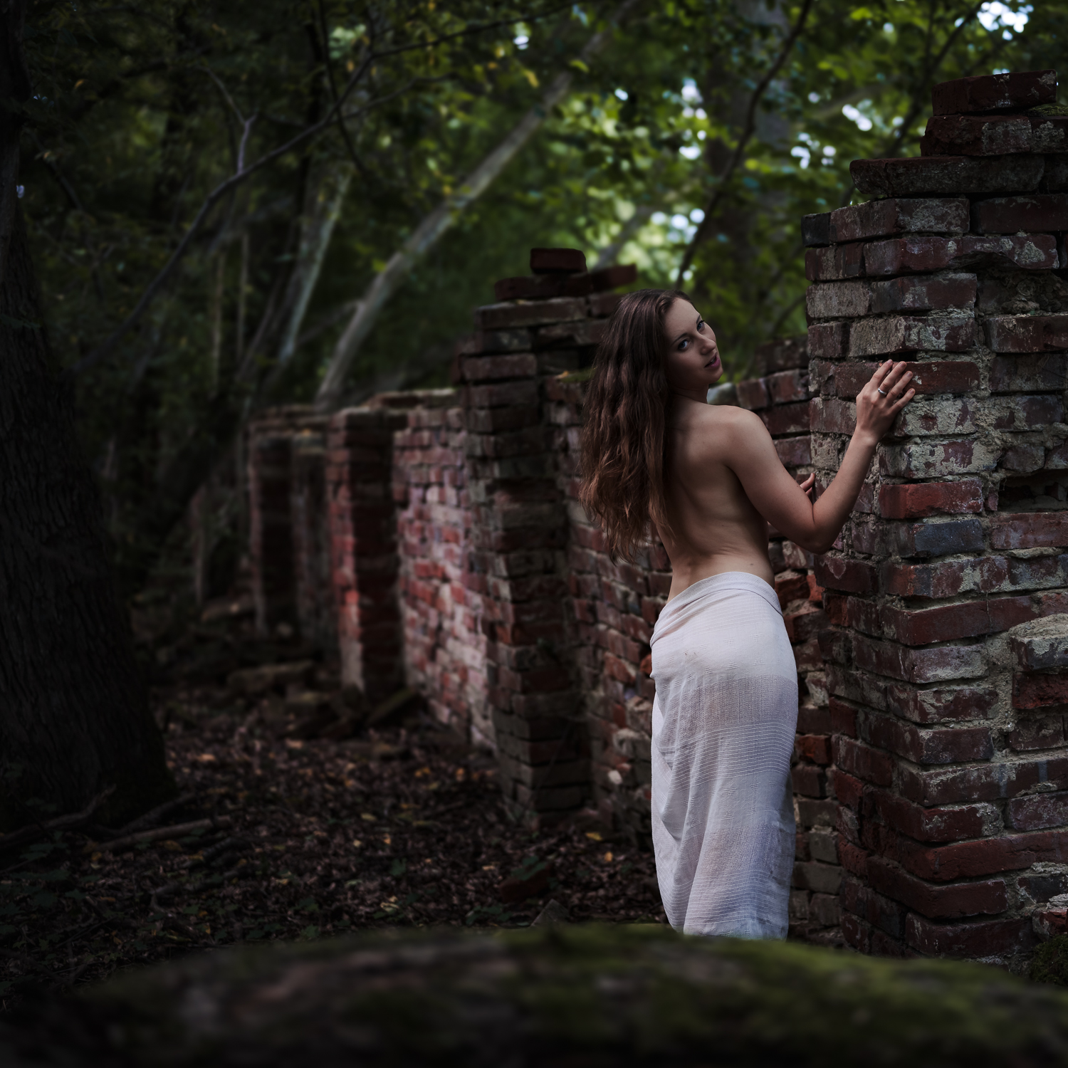 Akt im Schloss Blumenthal    2288